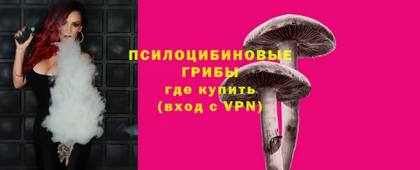 ГАЛЛЮЦИНОГЕННЫЕ ГРИБЫ Нефтегорск
