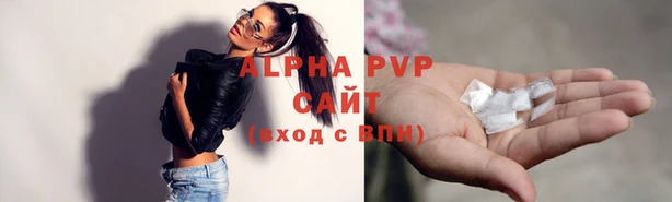 спиды Новодвинск