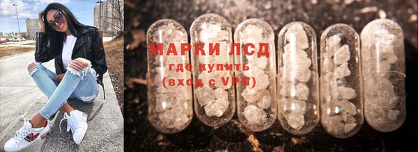ГАЛЛЮЦИНОГЕННЫЕ ГРИБЫ Нефтегорск