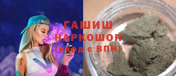 индика Горнозаводск