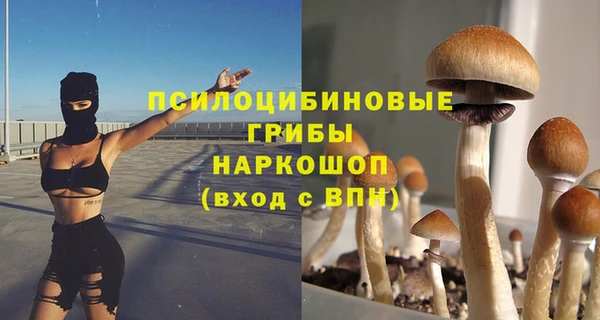 2c-b Новокубанск