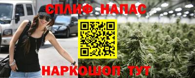 гидра Гай