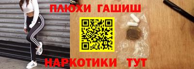 гидра Гай