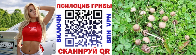 Псилоцибиновые грибы Magic Shrooms  Семилуки 