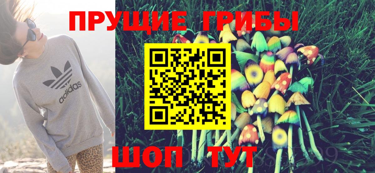 Псилоцибиновые грибы мицелий Семилуки